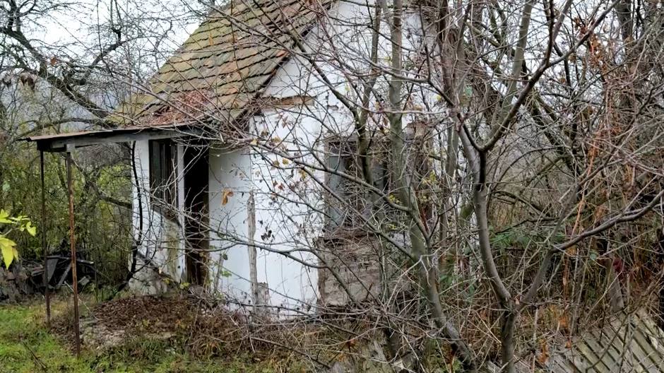 Mitar Mirić, emisija "Metar moga sela"