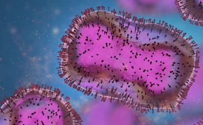 Projekt Ministerstwa Zdrowia: Będzie obowiązek izolacji chorych na małpią ospę