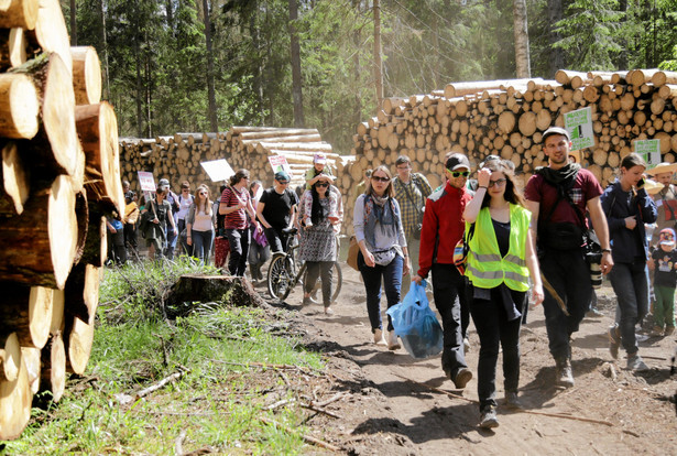 Polski resort środowiska uważa, że dodatkowe materiały, jakie KE przesłała Polsce w sprawie nałożenia kar za wycinkę w Puszczy Białowieskiej, nie mają wartości dowodowej.