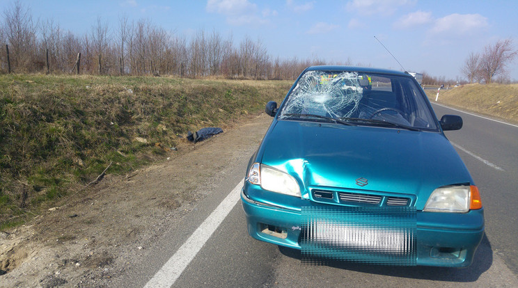 Halálra gázoltak egy gyalogost / Fotó: Police.hu