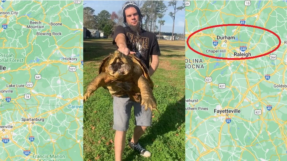 Gigantyczny żółw zaginął w Północnej Karolinie