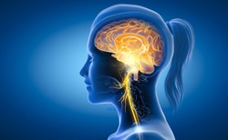 Co potrafi twój nerw błędny? Jak go stymulować?