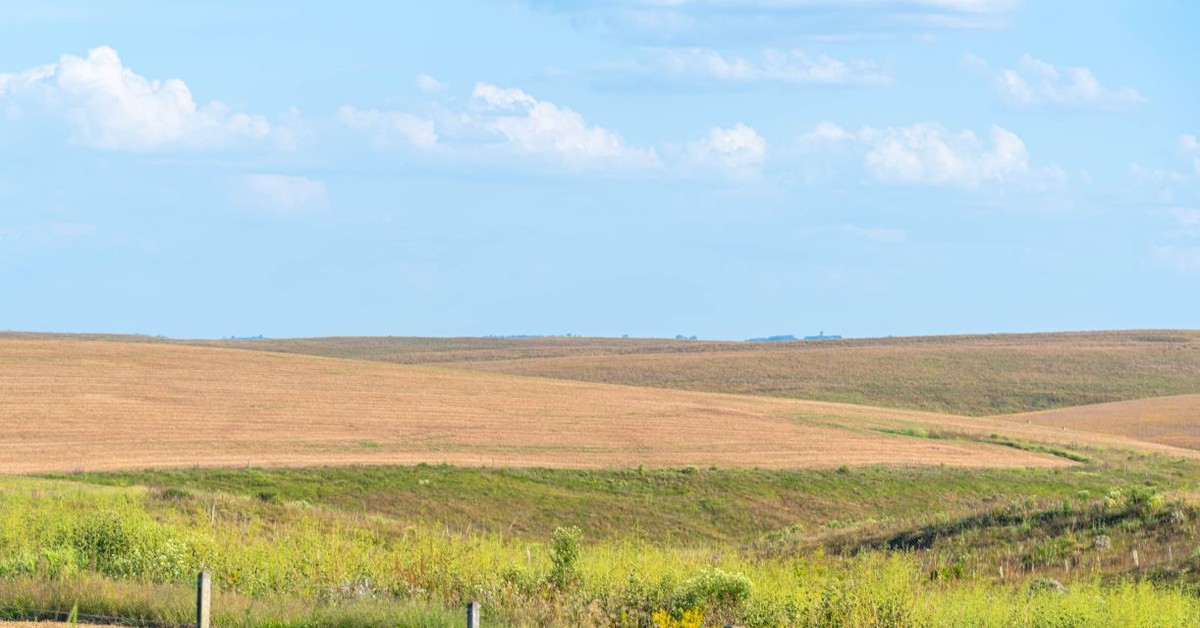 Państwo spłaci dług rolnika w zamian za przejęcie ziemi na własność