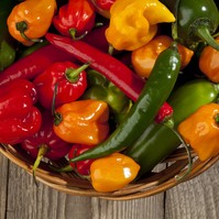 Hogy enyhítheti az erős paprika a fájdalmat?