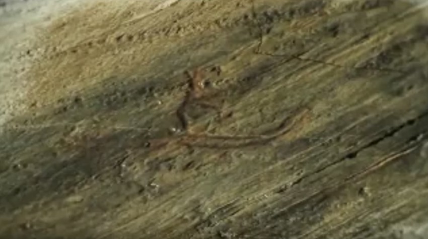 Mladići su rekli da su želeli da crtež bude "vidljiviji" posetiocima