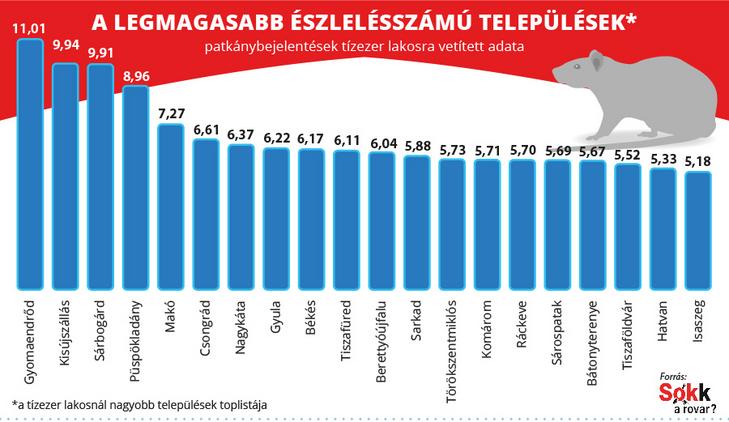 A települések patkány észlelési toplistája / Fotó: Sokk a rovar 