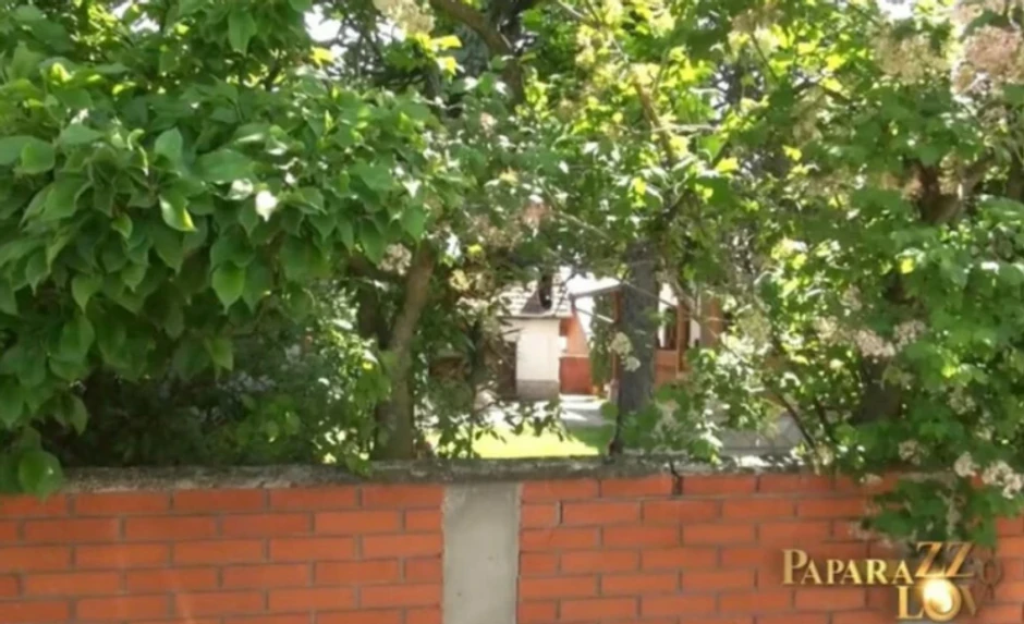 Kuća Miroslava Ilića