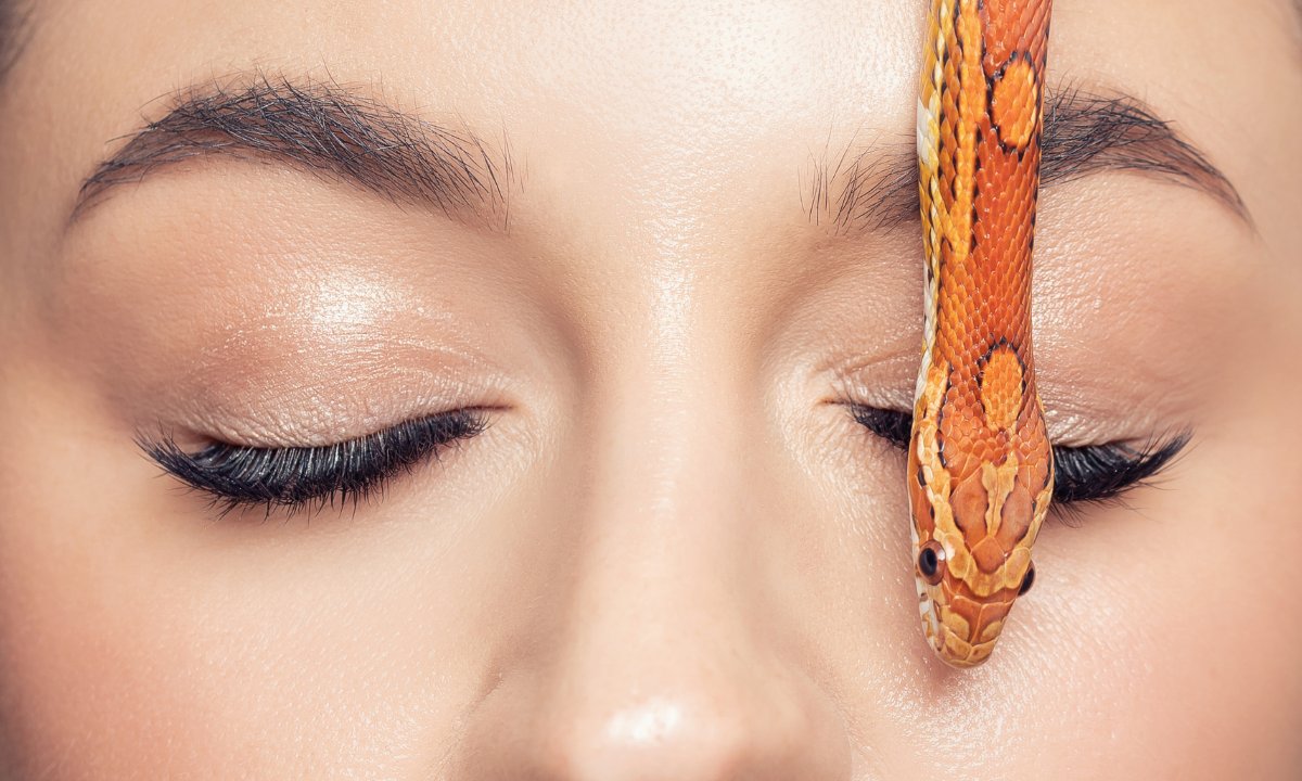 Jad żmii na zmarszczki to nowy hit 2026! Pozbądź się kurzych łapek i lwiej bruzdy