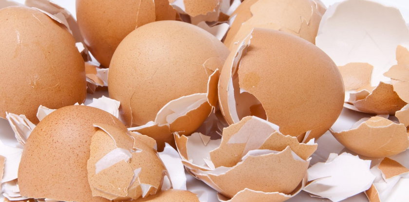 Nie wyrzucaj skorupek po jajkach! Możesz je wykorzystać