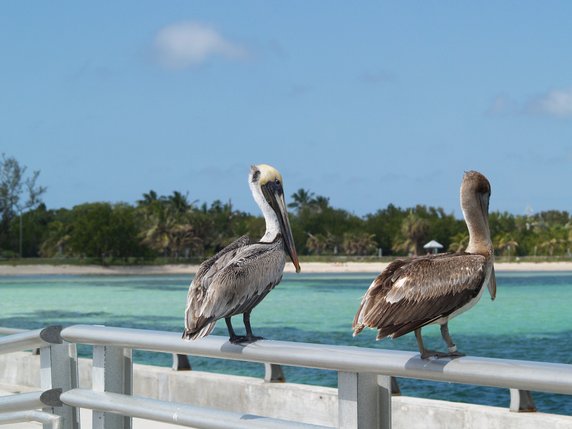 Key West - słoneczna perła Florydy