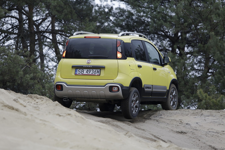 Fiat Panda Cross 1.3 Multijet