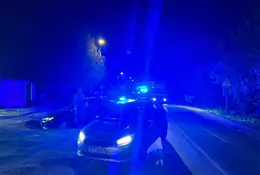 Wjechał do rowu. Udawał przed policjantami, że to nie on