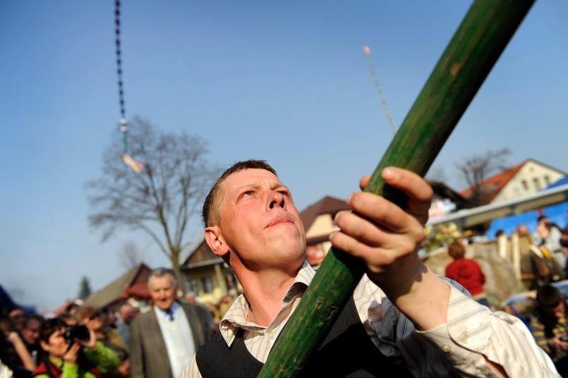 Padł nowy rekord w dorocznym konkursie na najwyższą palmę