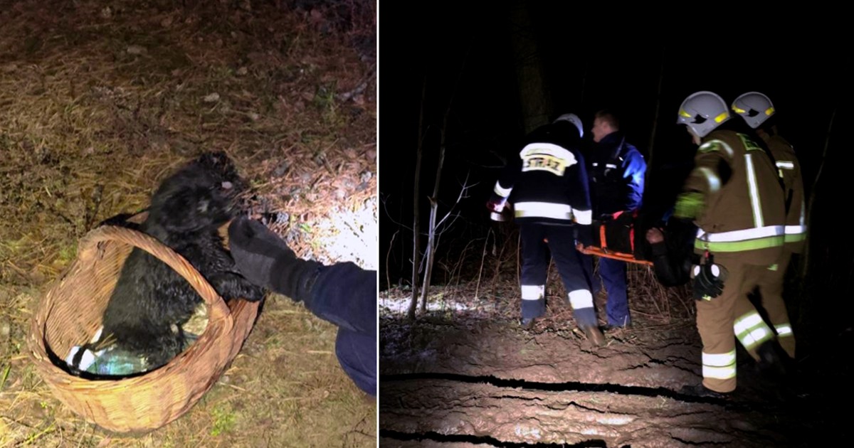 Czarna kulka w koszyku nie szczekała na próżno. Ratownicy poszli za jej głosem przez bagna