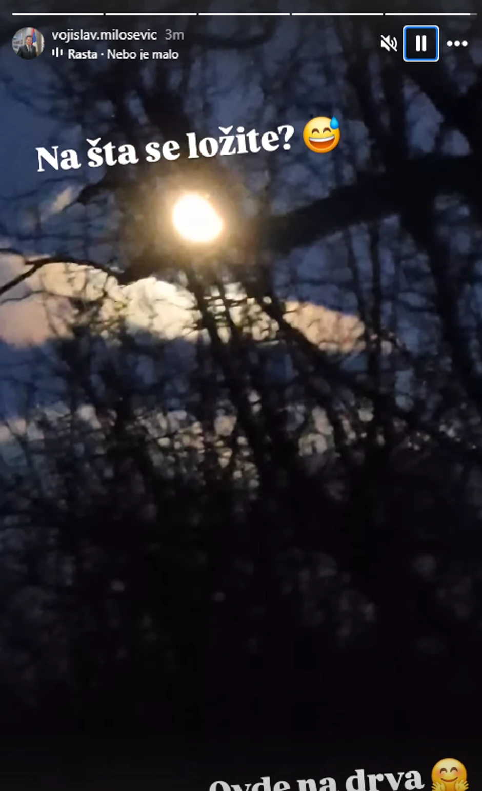 Voja otišao u šumu