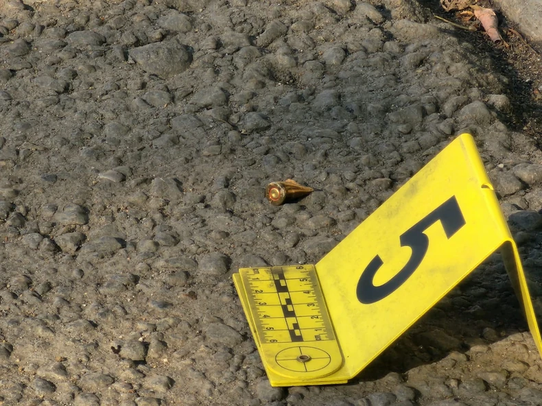 Uviđaj na licu mesta 