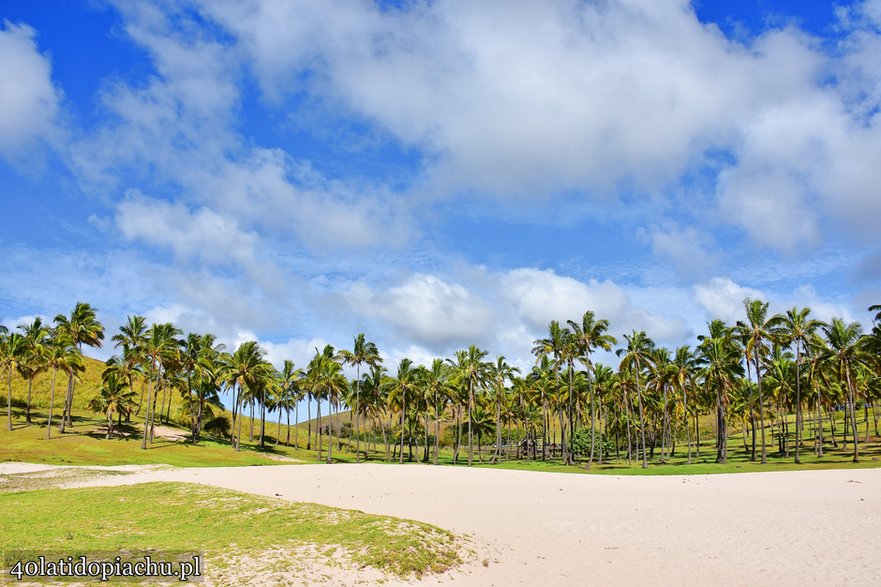 Plaża Anakena, Rapa Nui