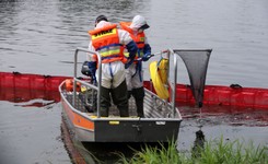 Śnięte ryby w Odrze. PiWet opublikował najnowsze badania