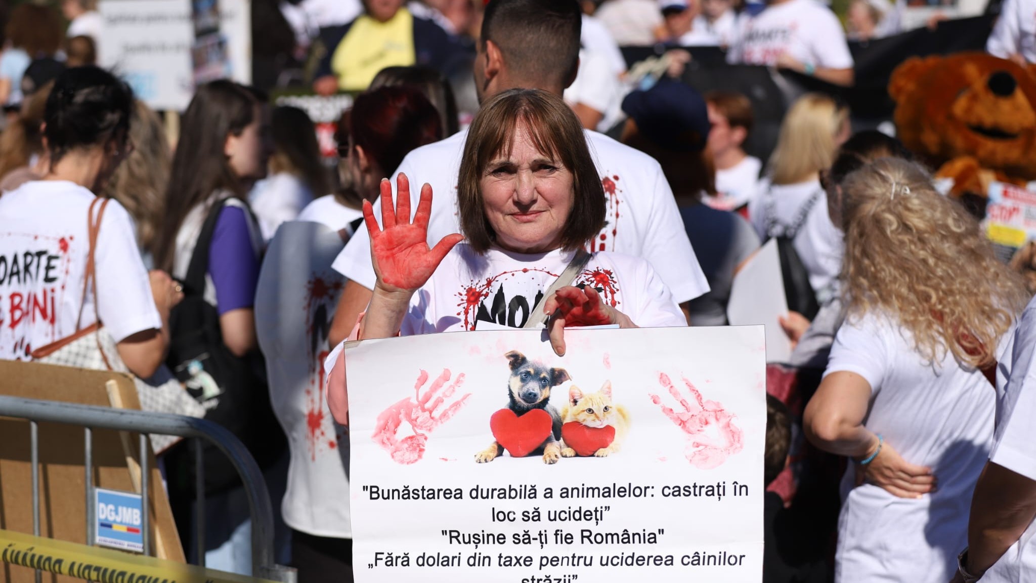 Protest masiv la București: peste 70 de ONG-uri de protecție a animalelor ies în stradă să apere drepturile animalelor fără stăpân și sălbatice