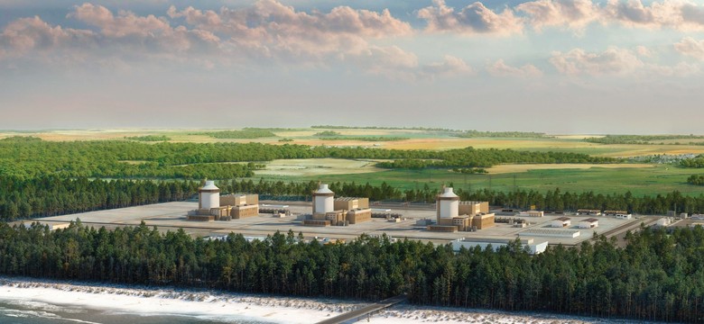 Budowa elektrowni jądrowej w Polsce. Media: Dzieci Solorza mają plan