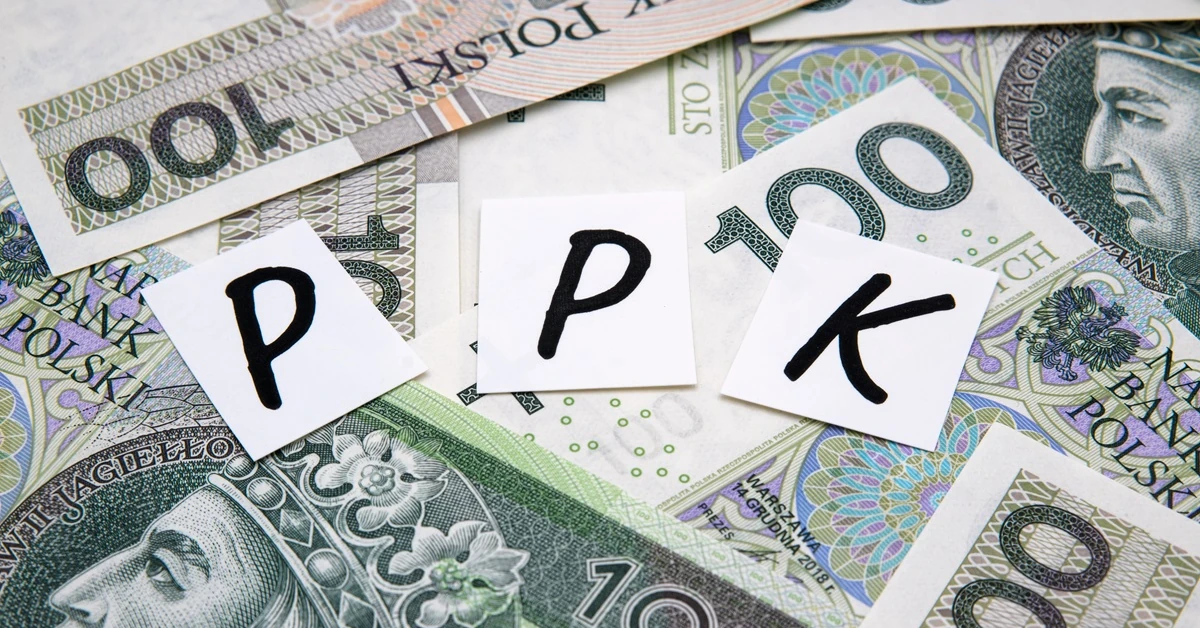 Odkryli strategię zarabiania na Pracowniczych Planach Kapitałowych. Po roku mają ponad 50 proc. zysku