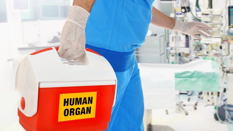 szervdonor, transzplantáció, rák, daganat, tumor