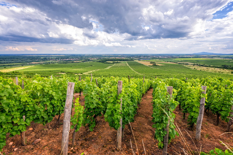 Eger na weekend - zabytki, wino i śpiew