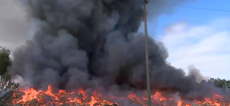 Wielki pożar odpadów w Wąchocku. Na miejscu 30 zastępów straży