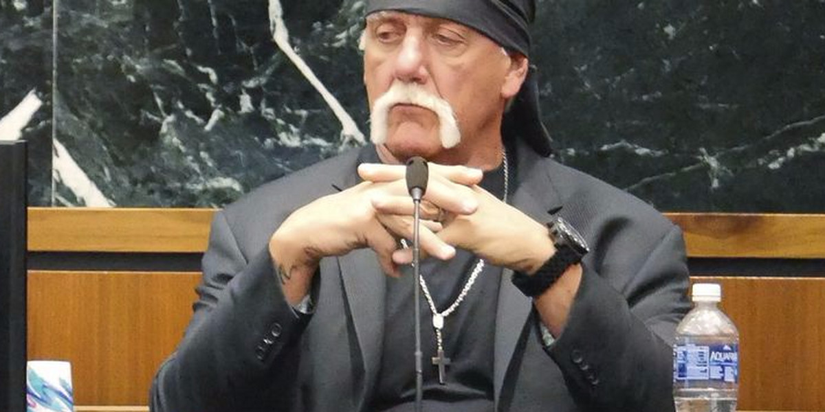 Terry Bollea, aka pro wrestler Hulk Hogan.