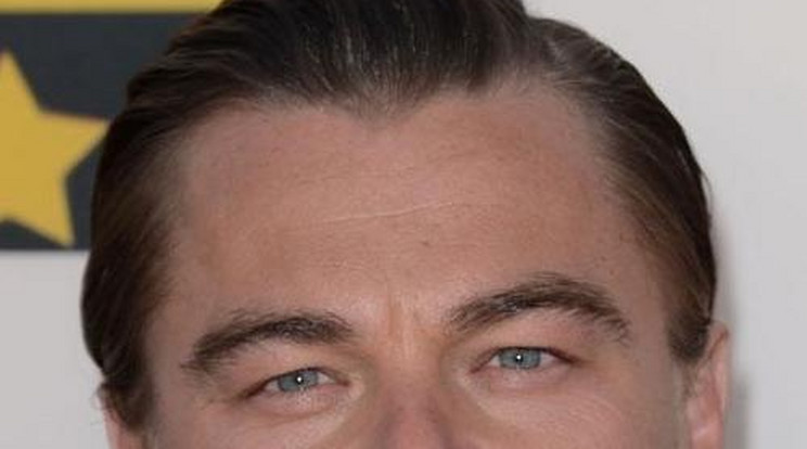 DiCaprio jótékonysági estet adott
