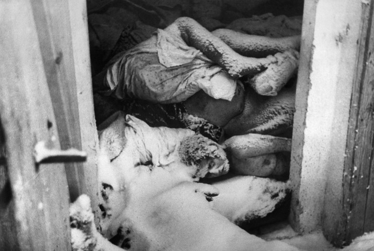 KL Auschwitz. Archiwalne ZDJĘCIA z czasów wojny