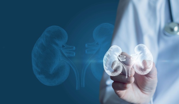 Voda pomaže bubrezima da rade svoj posao