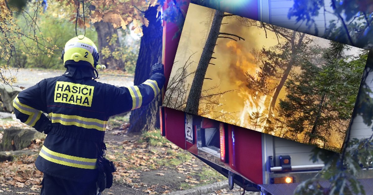 Češi bojují s požárem v Národním parku České Švýcarsko.  Oheň se vymkl kontrole