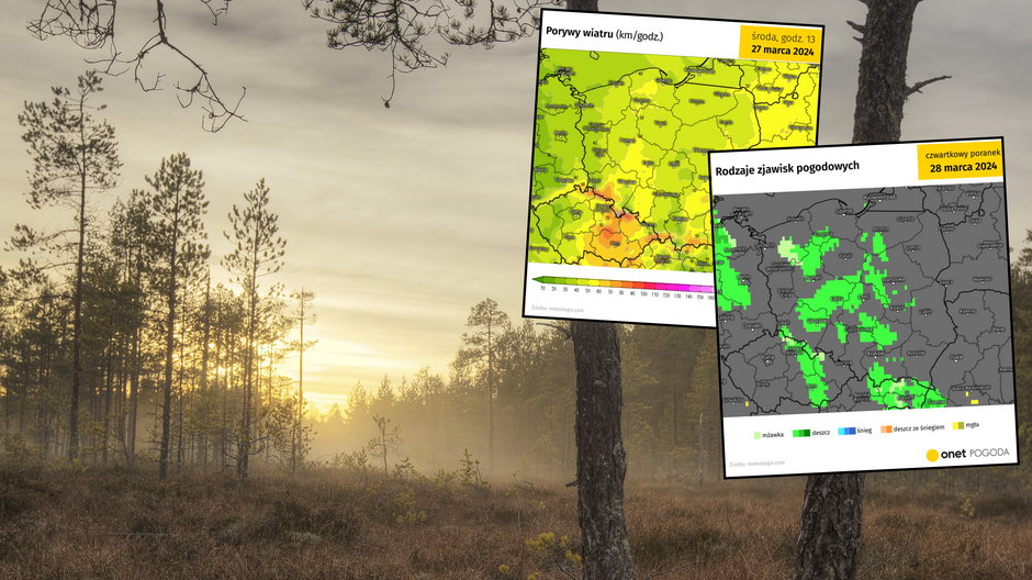 Pogoda na dziś. Silny wiatr i wystrzał temperatury. Nawet 20 st. C (mapy: meteologix.com)