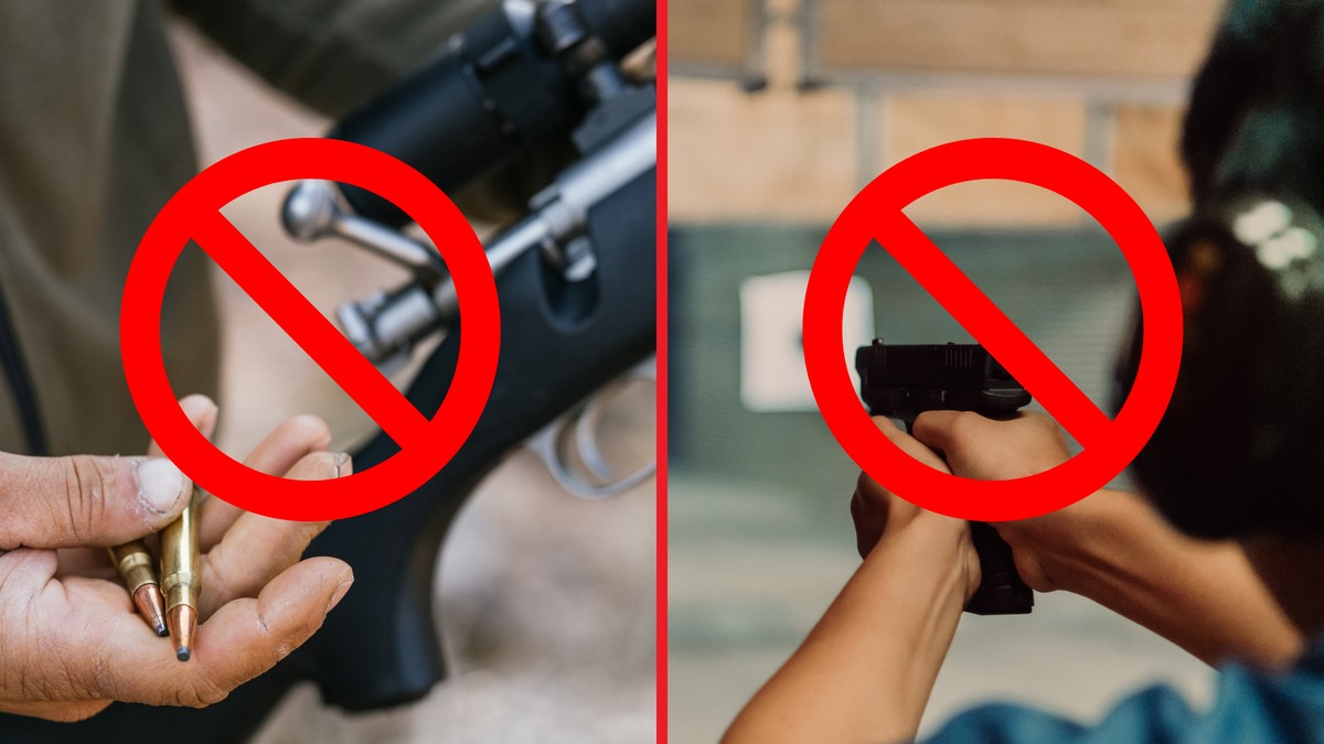 posłowie, ograniczenie, sejm, Broń, pozwolenie