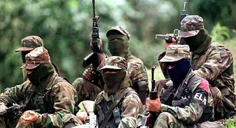 Columbia's FARC rebels