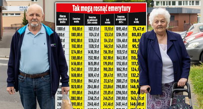 Nieoczekiwany efekt 800 plus. Zyskają także emeryci [TABELA]