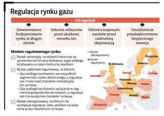Konkurencja zamiast regulacji. To szansa dla polskiego rynku gazu