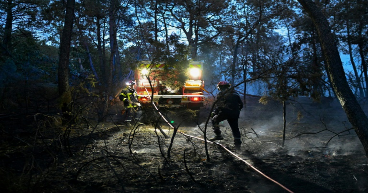 Feux de foręt : 15 000 hectares brûlés en France cet été
