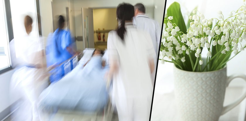 16-latka wypiła wodę po kwiatkach. Wylądowała w szpitalu. Czasem to może zabić