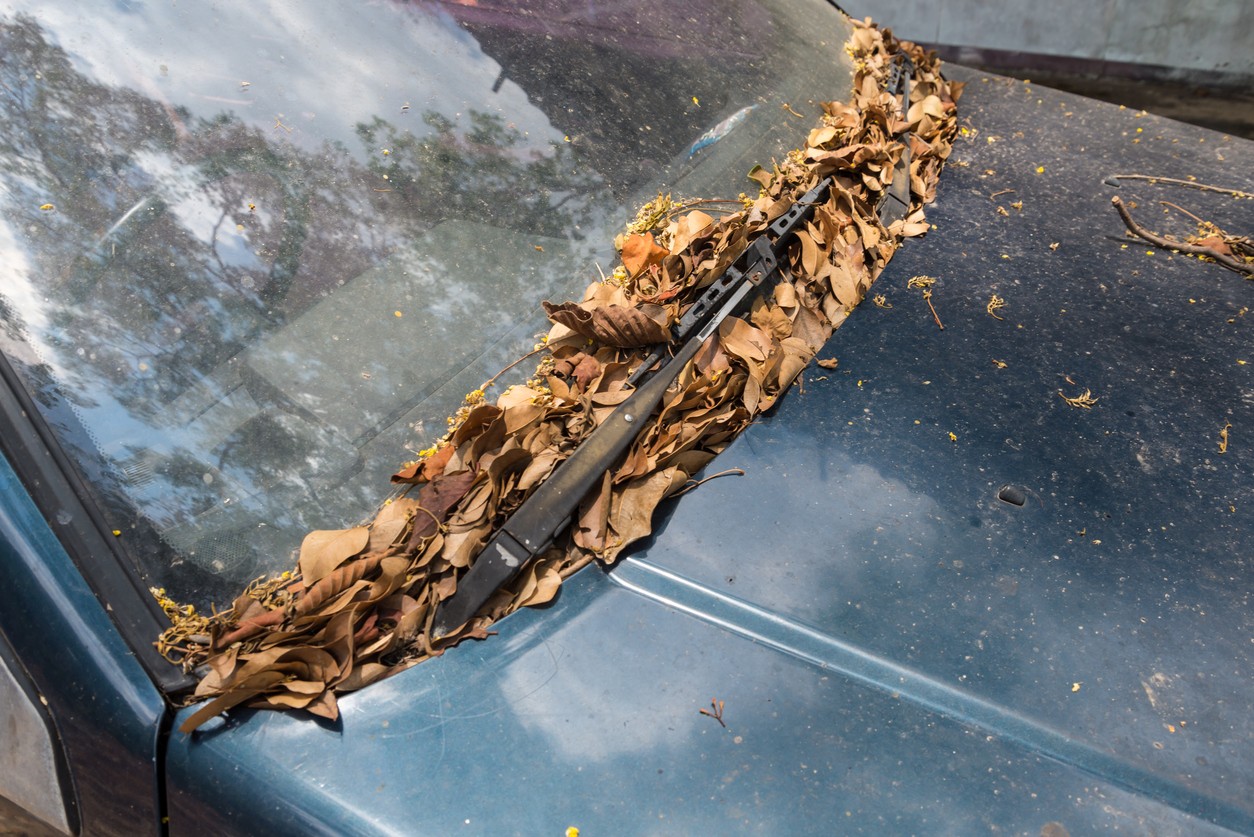 Tlejúce lístie pod stieračmi upcháva odtokové kanáliky a tlačí dažďovú vodu priamo do ventilátora. 