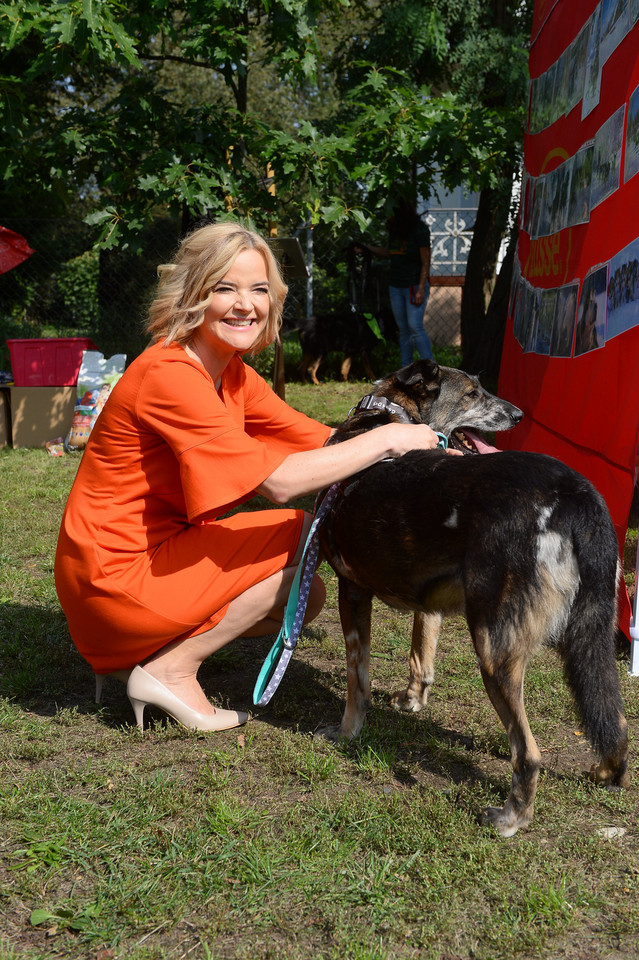 Monika Zamachowska w akcji "Gwiazdy zwierzętom"