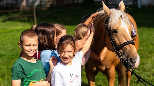 Półkolonie jeździeckie na Partynicach to obcowanie ze zwierzętami i naturą. 