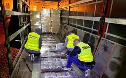 Straż Graniczna upolowała TIR-a. Pies wykrył rekordowy przemyt