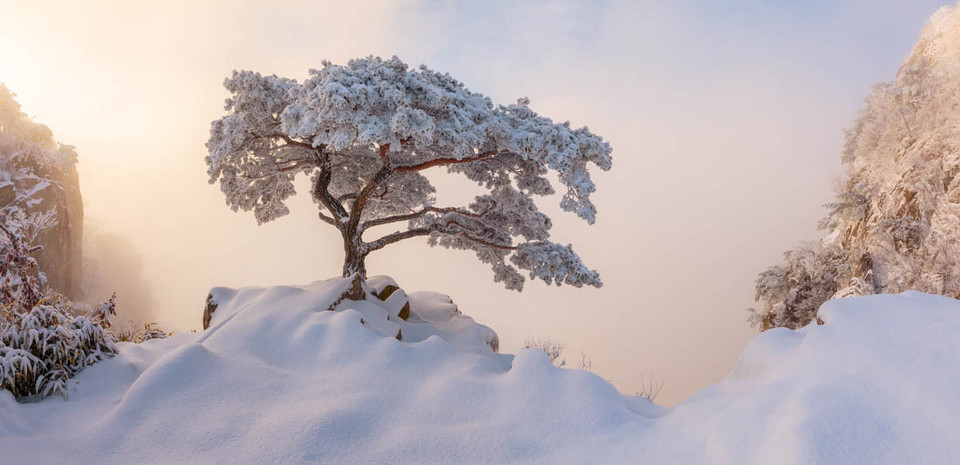 Najlepszy fotoamator i zwycięskie zdjęcie w kat. Open / Natura / Krajobraz - "Królewska Ceremonia, Daedunsan, Korea", Nathaniel Merz (Korea Płd.)