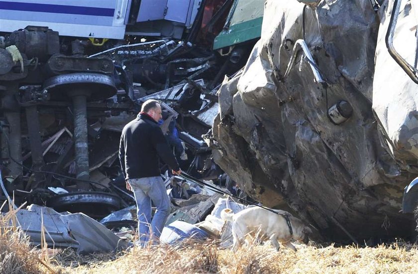 Pies GOPR-owca pomagał szukać ludzi we wrakach pociągów