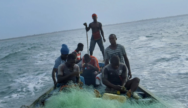 Rybacy w Gambii, kadr z filmu "Stolen fish"