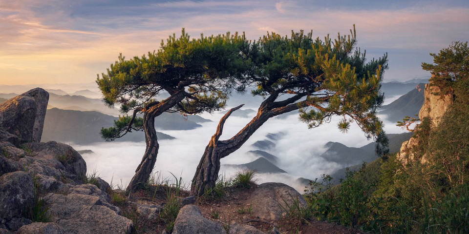 Najlepszy fotoamator - "Razem Lepiej, Daedunsan, Korea", Nathaniel Merz (Korea Płd.)