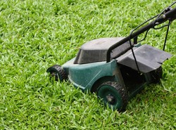 Kara dla gwałcicieli? Sąd skazał ich na koszenie trawy