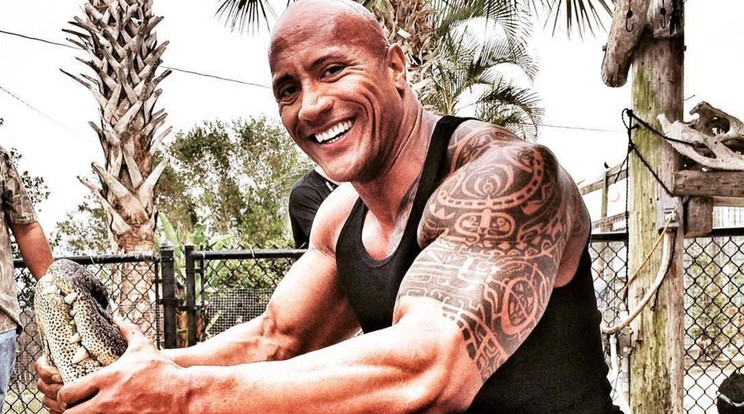 Dwayne Johnson / Fotó: Northfoto